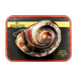 4th Generation Limited Heritage Collection 2026 100g